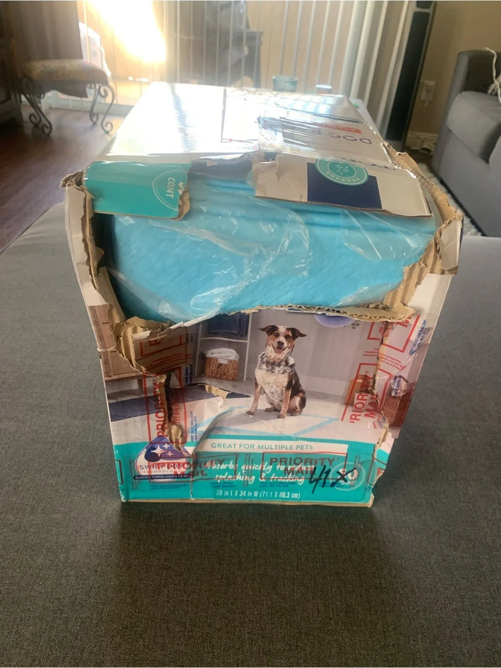 Opened Damaged Box W/ Less Top Paw Dog Pads Holds 10 Cups 28”LX34”W XL 41 Ct NWT